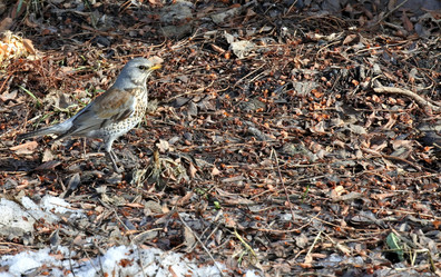 Similar image 13074597