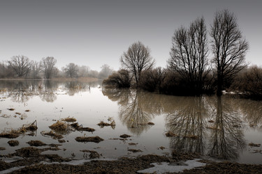 Similar image 13082396