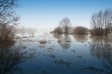 Similar image 13082412