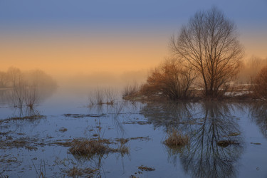 Similar image 13082413