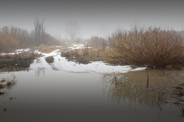 Similar image 13082415