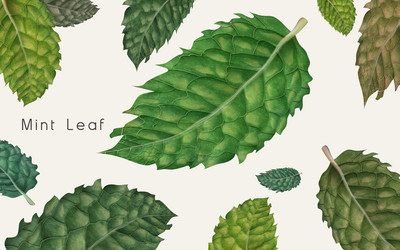 Similar image 13101990