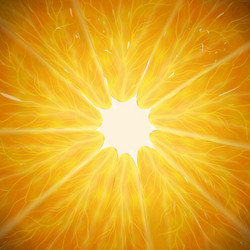 Similar image 13102791