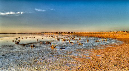 Similar image 13076279