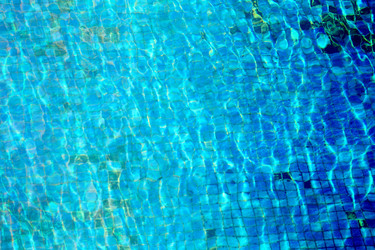 Similar image 13077856