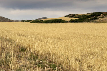 Similar image 13078673