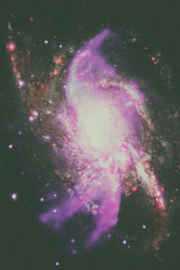 Similar image 13096216