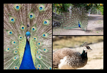 Similar image 13076247