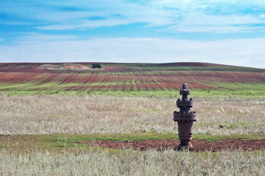 Similar image 13076421