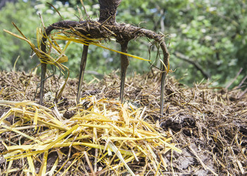 Similar image 13076250