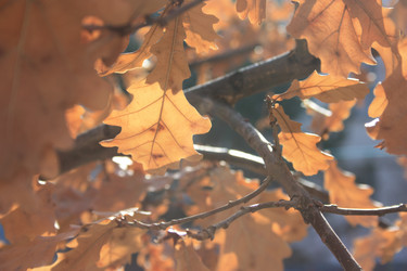 Similar image 13081753