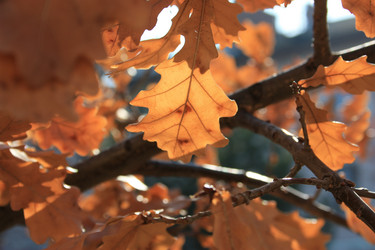 Similar image 13081754