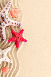 Similar image 13095719