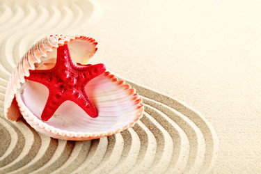 Similar image 13095720