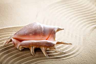 Similar image 13095740