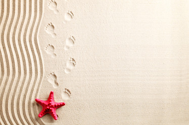 Similar image 13095749