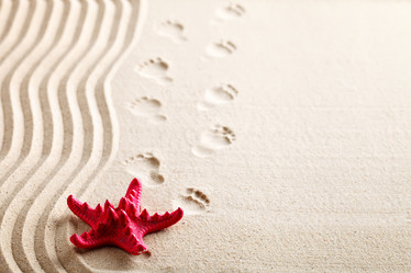 Similar image 13095750