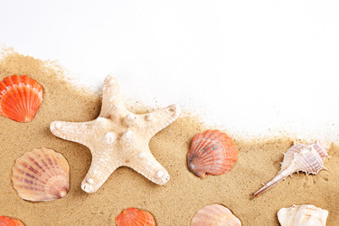 Similar image 13095753