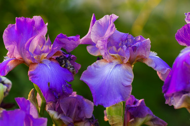 Similar image 13082527