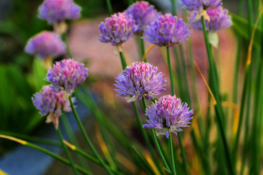 Similar image 13082848