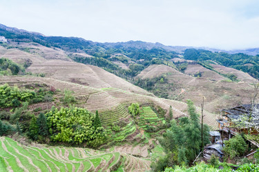 Similar image 13081382