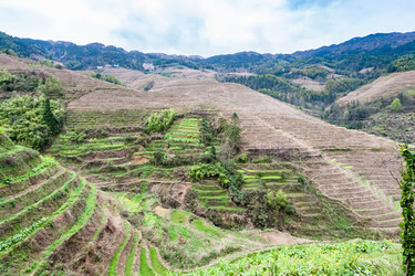 Similar image 13081388