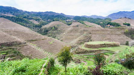 Similar image 13095198