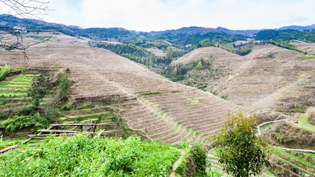 Similar image 13095219