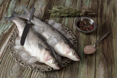 Similar image 13078678