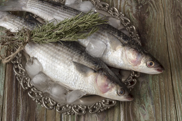 Similar image 13078680