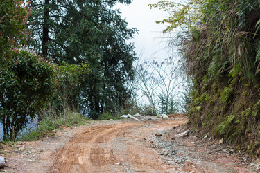 Similar image 13095231