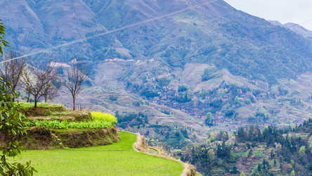 Similar image 13095234