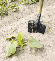 Similar image 13078683