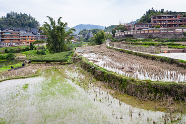 Similar image 13106808