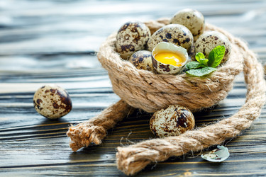 Similar image 13078877