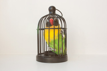 Similar image 13082676