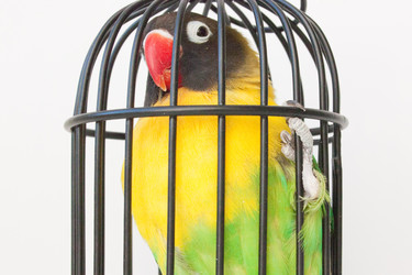 Similar image 13082677