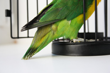 Similar image 13082681