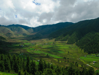 Similar image 13082423