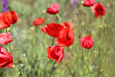 Similar image 13085754