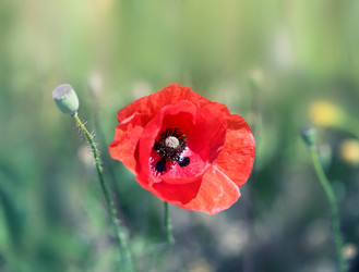 Similar image 13085755