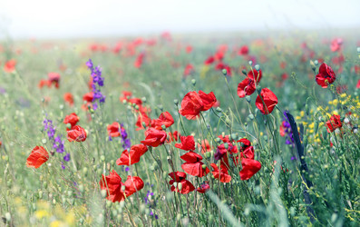 Similar image 13085757