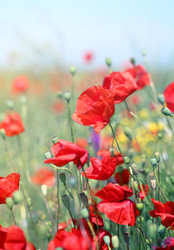 Similar image 13085758