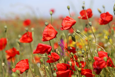 Similar image 13085761