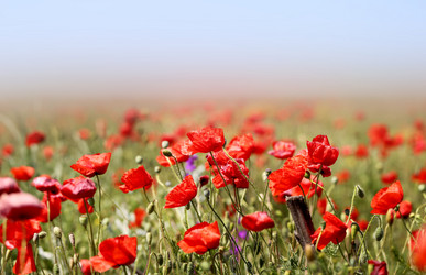 Similar image 13085762