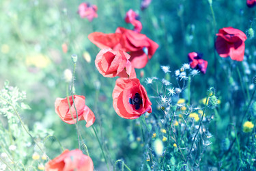 Similar image 13085764