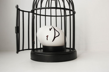 Similar image 13090455