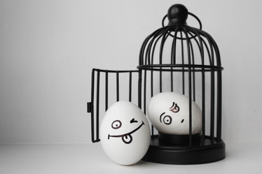 Similar image 13090458