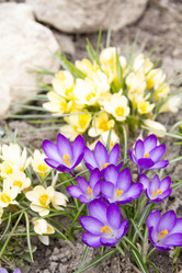 Similar image 13082402