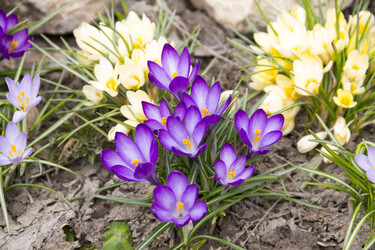 Similar image 13082404